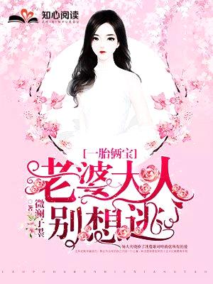 一胎俩宝，老婆大人别想逃封面